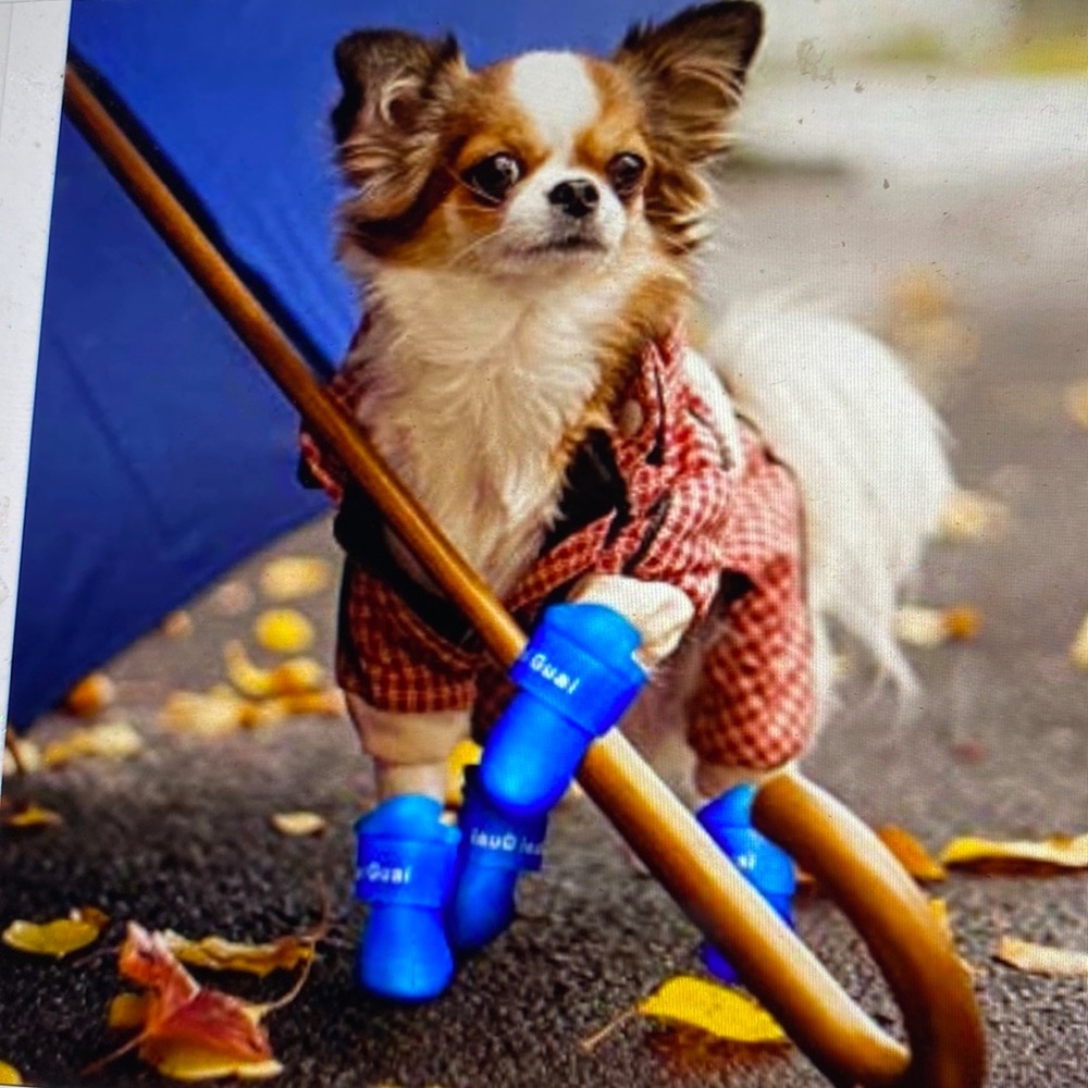 HP New dog puppy rain boots small